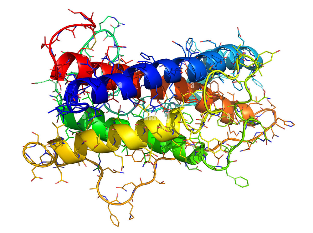New Science Alert: The 2025 Science Behind HGH Stimulate