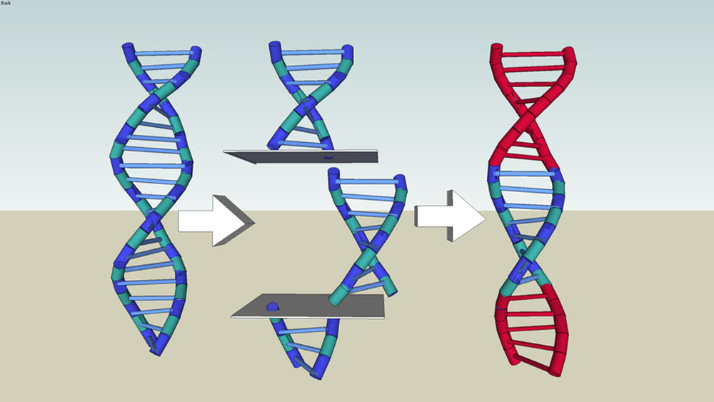 Gene-Silencing RNAi Pesticides: Risks and Regulatory Gaps