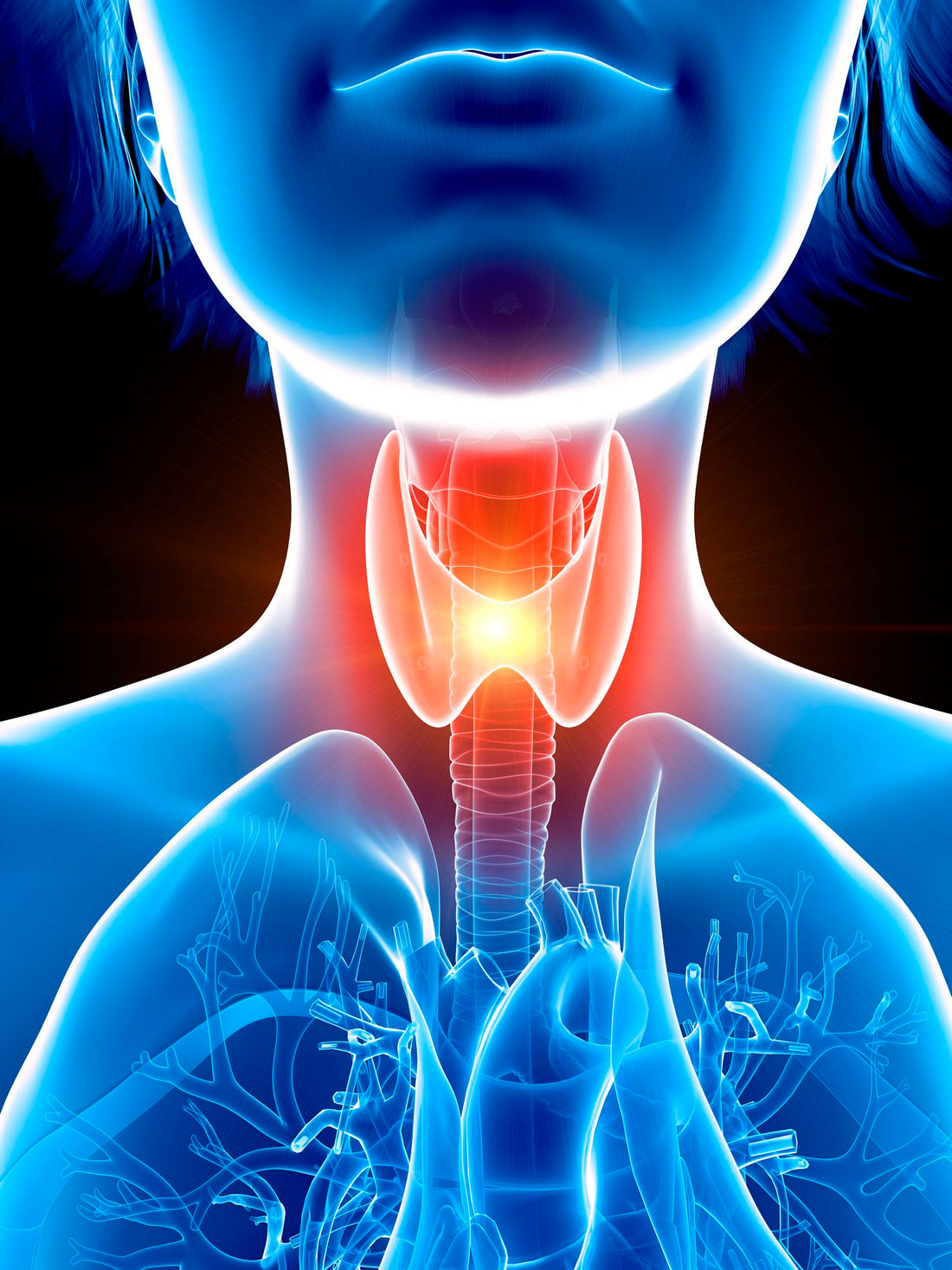 Thyroid Tune-Up: Healthmasters' Thyroid Support
