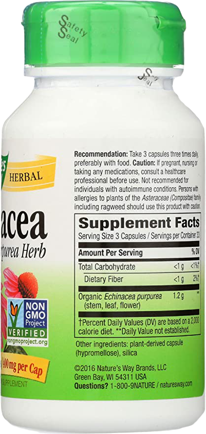 Echinacea